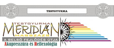 2025-01-29__bfu_-_12_-_testgyurma_fejlec.jpg